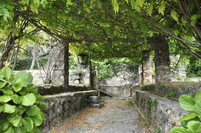 'Le Ruin" - ground water seeps into trough that was used for water for the animals