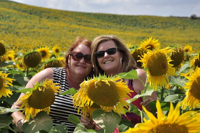 My sister, Ang, and I in a forever field of sunflowers just south of Sienna, a few hours away in Italy.