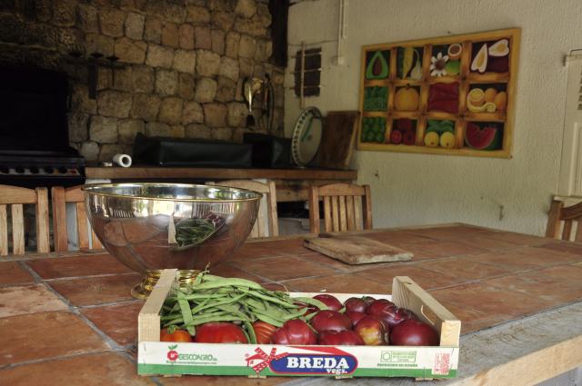 Paradise is having a neighbor with a garden full of tomatoes!