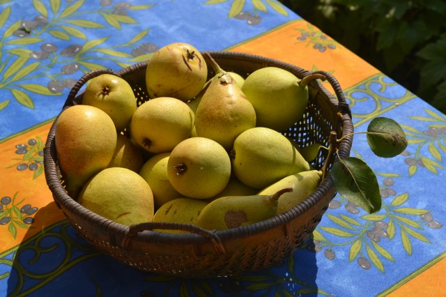 Step 2: Get about 5 kilos of fresh pears.