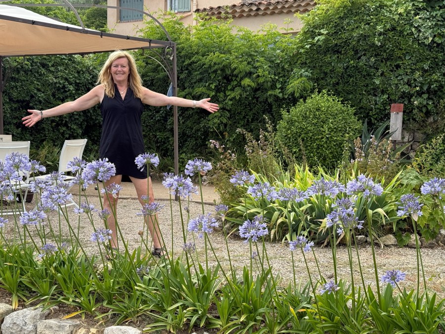 Our new Agapanthus garden